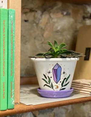Purple crystal Plant plot size SX